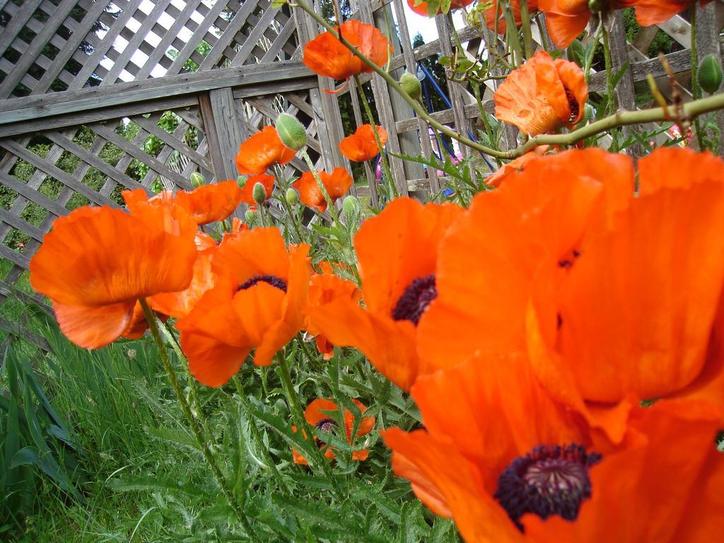 Bed and Breakfast At Nautica Tigh Private Keypad Entrances Qualicum Beach Exterior foto